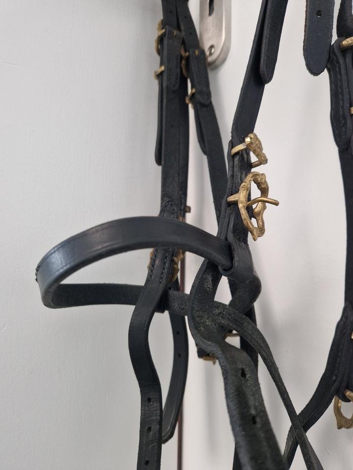 Barockzaum Barockkandare Portugisischer Zaum WB schwarz gold in Seesen