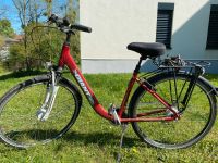 Giant Tourer, Road Lifestyle, Damen, Modell 2017 Mecklenburg-Strelitz - Landkreis - Neustrelitz Vorschau