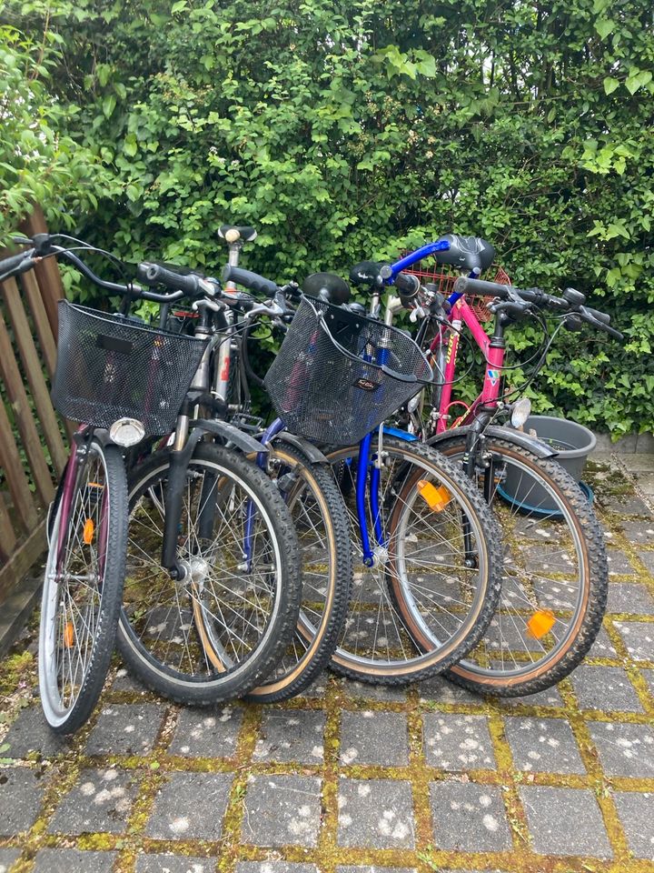 Fahrräder Citybike Trekkingbike Damen Herren Jugendliche günstig* in Esslingen