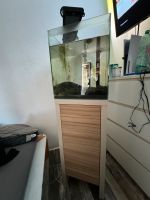 60 liter Aquarium von Juwel inklusive Filter Hessen - Lorsch Vorschau