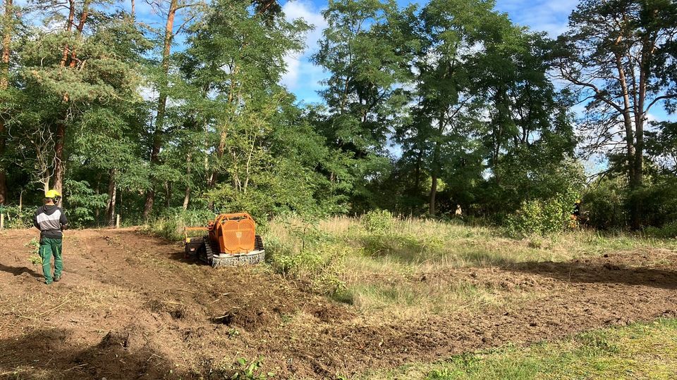 Mäharbeiten Mulchen Forstmulchen in Pätz