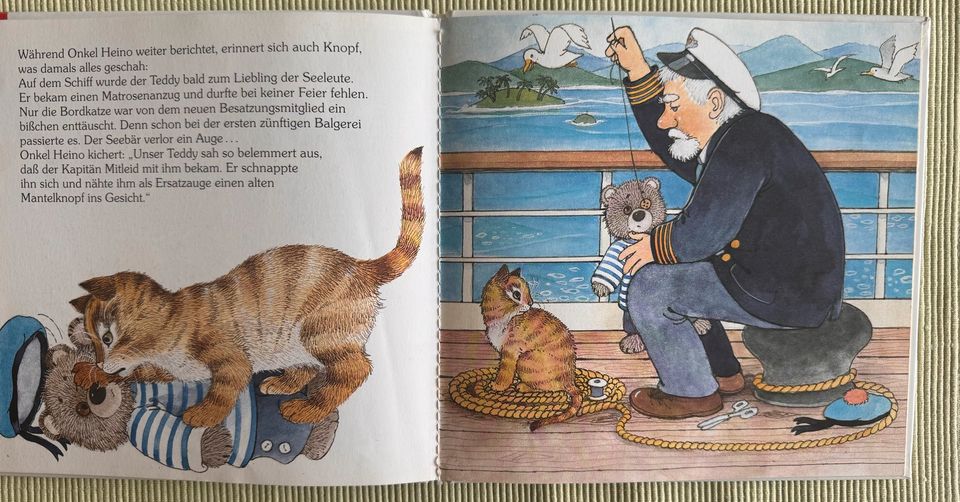 Knopf, der Seebär  von Hildrun Covi - ein Knuddelbär! in Biebertal