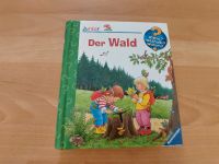 Der Wald junior Ravensburger Bayern - Schwabach Vorschau