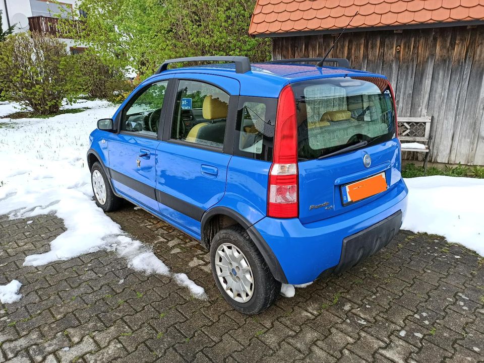 Fiat Panda 169 1.2 4x4 in Scheidegg