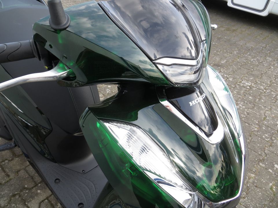 Honda SH150i inkl. Top Case - verfügbar - ab 59,- € mtl.  #2846 in Strausberg