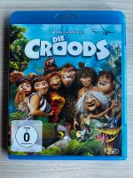 Film Die Croods von Dreamworks Disk wie Neu Rheinland-Pfalz - Arzbach Vorschau