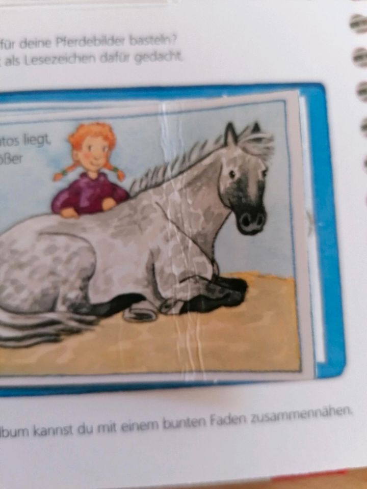 Wieso Weshalb Warum Alles über Pferde und Ponys Buch in Gladbeck