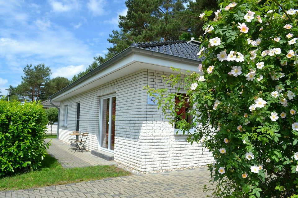 Ferienhaus auf Usedom, Karlshagen, Traumlage an der Ostsee in Eisenach