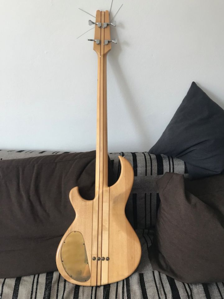 Hoyer Taurus Original Vintage Bass in Hamburg
