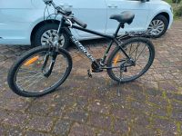 Fahrrad Mountainbike Saarland - St. Ingbert Vorschau