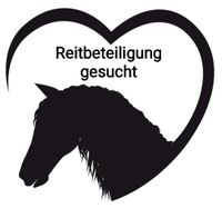 Reiterin sucht Pferd (Reitbeteiligung) München - Allach-Untermenzing Vorschau