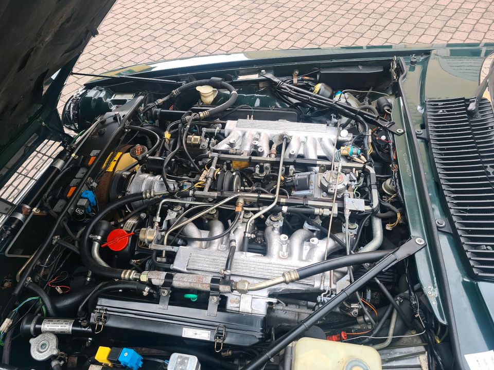 Oldtimer, Jaguar xjsc 12 Cabrio, in Top Zustand in Offenbach