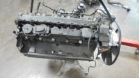 BMW E39 5er 530d 120 KW 163 PS Motor Engine M57 Nordrhein-Westfalen - Gelsenkirchen Vorschau