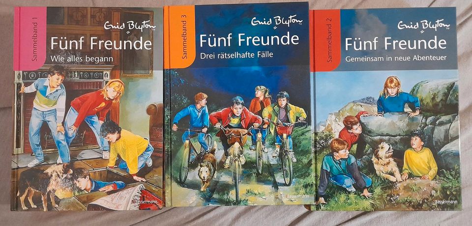 Fünf Freunde - Kinderbuch in Dettelbach