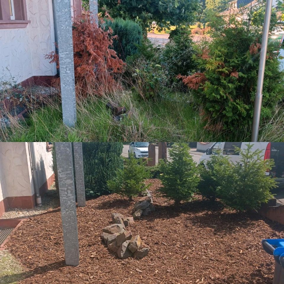 Gartenarbeiten Hecken schneiden Grünschnitt Entsorgung in Dillingen (Saar)