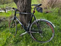 Rennrad. -all terrain bike- 2Danger,62, Ultegra Schleswig-Holstein - Wankendorf Vorschau