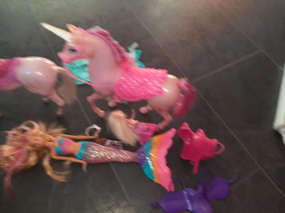 Barbie Pferde in Castrop-Rauxel
