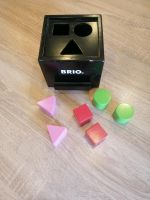 Brio Sortierbox Steckspiel schwarz Rheinland-Pfalz - Eitelborn Vorschau