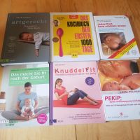 Babybücher artgerecht Kochbuch 1000 Tage schlafen lernen Pekip Niedersachsen - Burgdorf Vorschau