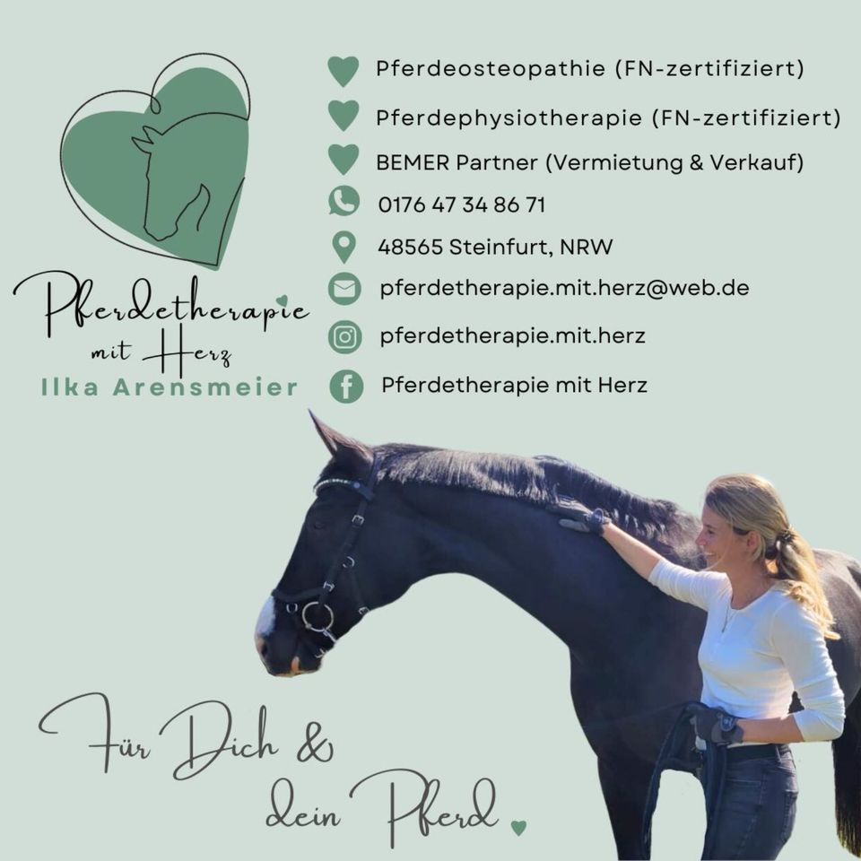 Pferdeosteopathie | Pferdephysiotherapie | Bemer Horse | Novafon in Steinfurt