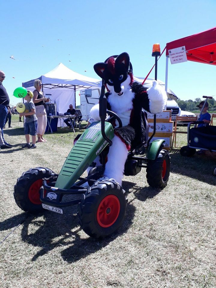 BERG Toys Gokart Fendt BFR Traktor in Fröndenberg (Ruhr)