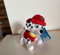 Paw Patrol - Marshal Plüschtier Neu!! Nürnberg (Mittelfr) - Oststadt Vorschau