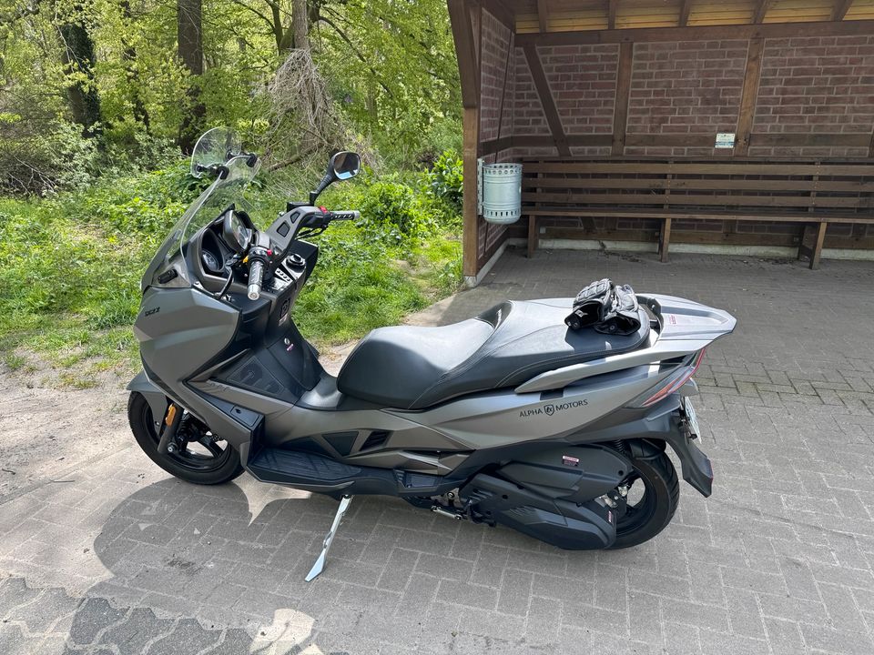 Alpha Motors Motors Sport Cruiser SC 22 125 ccm mit Topcase B196 in Heek