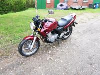 Honda CB500 PC32 Bj. 1999 zum herrichten Schleswig-Holstein - Reinfeld Vorschau