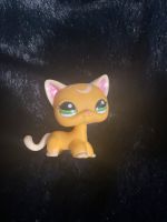 LPS Katze Cat Shorthair Littlest PET Shop 2194 Hasbro Nordrhein-Westfalen - Hilden Vorschau