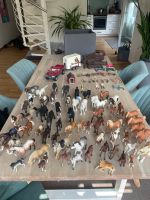 Schleich Figuren Konvolut - Pferde // Bayala Nordrhein-Westfalen - Borken Vorschau