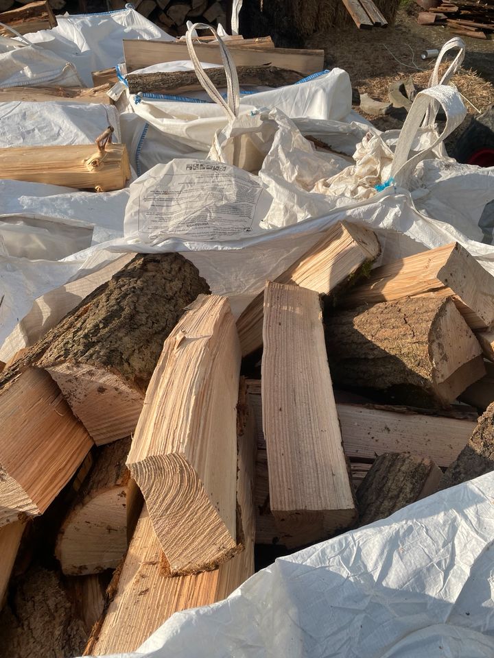 Holz Brennholz Buche Eiche in Waiblingen