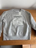 Pulli Pullover ESPRIT neu S München - Laim Vorschau