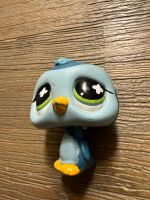 Littlest Pet Shop blauer Pinguin 821 LPS Hasbro Bad Doberan - Landkreis - Dummerstorf Vorschau