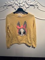 Pullover Pailletten Hase H&M 134 140 Schleswig-Holstein - Itzehoe Vorschau