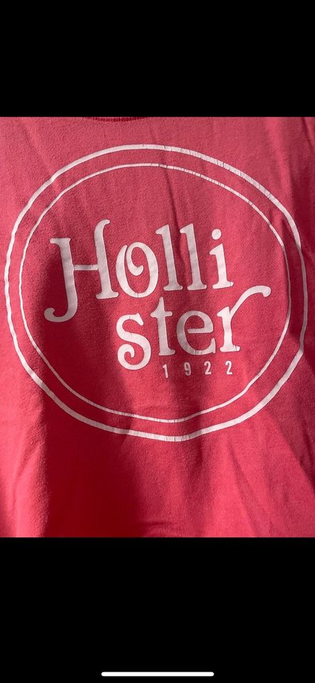 Hollister Pullover Pulli M pink in Isernhagen