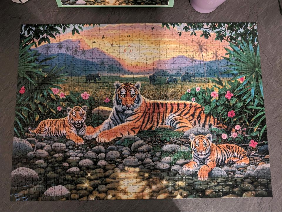 Puzzle 1000 Teile, wie neu, Tiger, vollständig in Schonungen