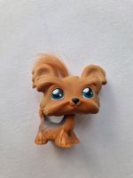 Littlest Pet Shop Dog mit Haar (LPS) Niedersachsen - Wallenhorst Vorschau