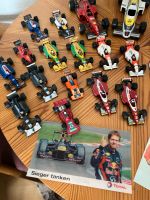 Rennwagensammlung mit Autogrammen Michael Schumacher Sachsen - Trebsen Vorschau