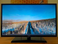 LED TV | SAMSUNG UE39EH5003WXZG | 39" Zoll | HDMI USB SCART FHD Bayern - Rosenheim Vorschau