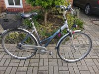 Peugeot Alu Damenfahrrad  28 Zoll Nordrhein-Westfalen - Krefeld Vorschau