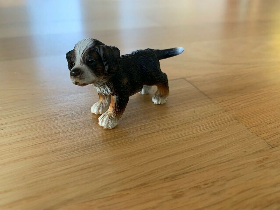 *Vintage* Schleich Berner Sennenhund Welpe (16344) v. 2005 - neuw in Köln