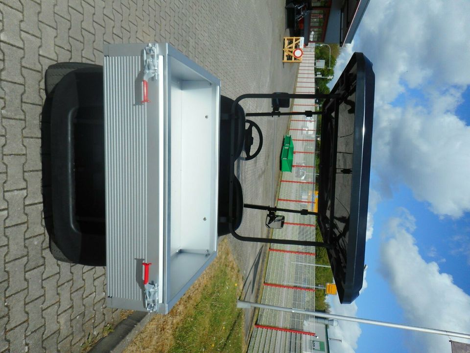 WSM Golfcart EX1300+Transportbox Elektrofahrzeug in Satteldorf