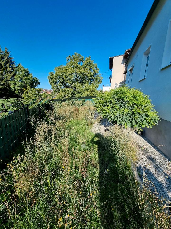 Gärtner. Biete Arbeiten rund ums Haus, Hof und Garten an in Saarbrücken