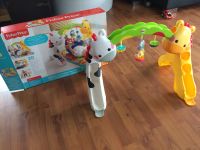 Fisherprice Spielbogen Schleswig-Holstein - Wattenbek Vorschau