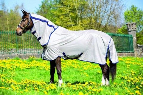 Fliegendecke, Ekzemerdecke Horseware Rambo Protector, Amigo Mio Fly, Rambo Hoody, Busse Sunshine II, Busse Strong 90,95,100,110,115,125,130,140,145,155,160,165 auch Big Size Neuware in Kempen