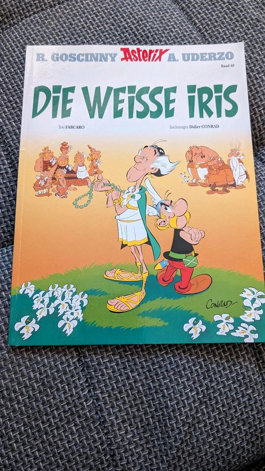 Asterix Band 40 - Die weisse Iris in Poing