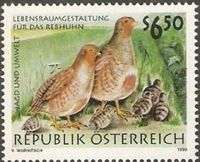 Österreich 2281 Jagd und Umwelt - Rebhuhn - Vögel - Tiere Fauna Nordrhein-Westfalen - Kamen Vorschau