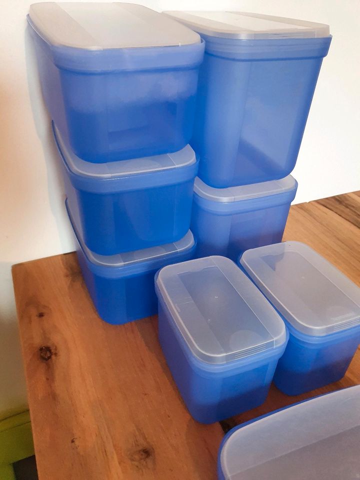 Tupperware Aufbewahrung Küche Dosen blau in Rheinland-Pfalz -  Münster-Sarmsheim | eBay Kleinanzeigen ist jetzt Kleinanzeigen