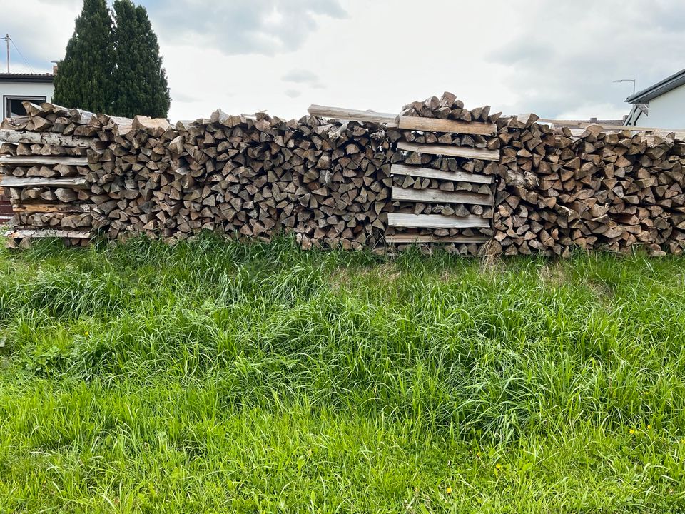 Brennholz Fichte in Bruchertseifen