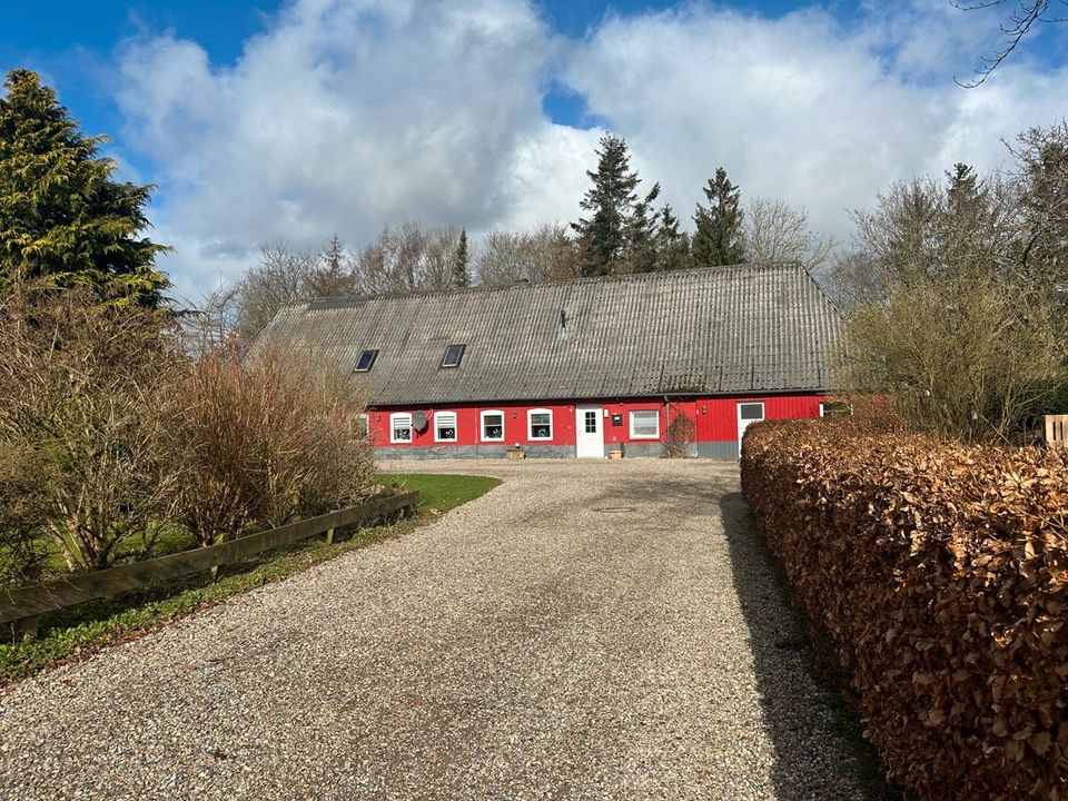 Großes Bauernhaus mit 4 Wohnungen in ruhiger Dorfrandlage! in Maasbüll